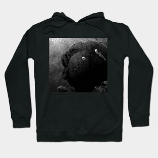 The Living Plague, Conrad Hoodie